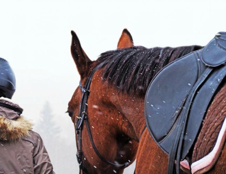 Jec Ballou horse trainer jec aristotle ballou western dressage jec ballou dressage exercises for horse and rider jec ballou equine fitness beyond horse massage