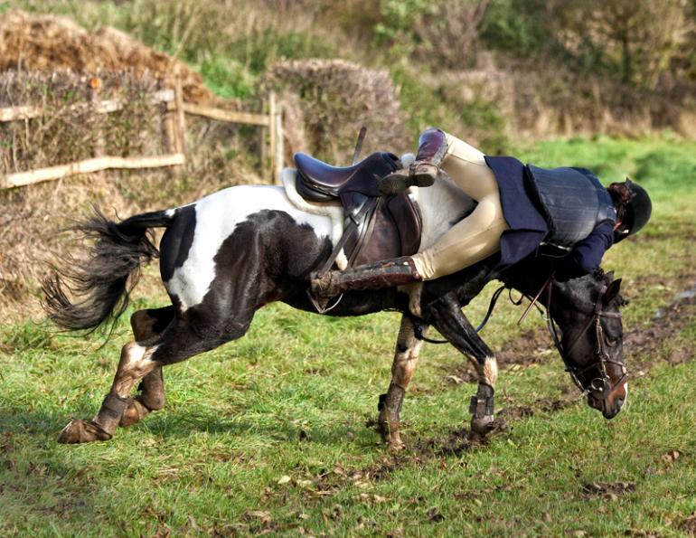 Jec Ballou, horse trainer, jec aristotle ballou, western dressage, jec ballou, dressage exercises for horse and rider, jec ballou, equine fitness, beyond horse massage, Jec Ballou Jec Ballou, horse trainer, jec aristotle ballou, western dressage, jec ballou, dressage exercises for horse and rider, jec ballou, equine fitness, beyond horse massage, Jec Ballou