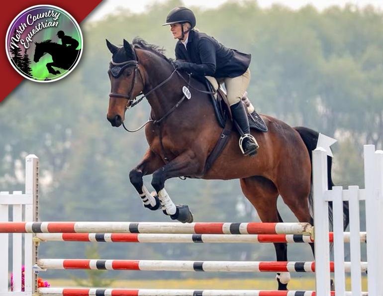 north country equestrian, abby stilwell horse blogger, canadian horse blogger, horse bloggers in canada