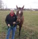 equine massage courses, equine rehab, sidonia mcintyre equine massage, school of equine massage and rehabilitation therapies
