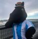 horse racing, gaming, casino, food, alberta casino,