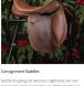 horse tack  courtney, best tack store courtney, saddles and tack, saddles & tack,