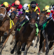 horse racing, kings plate, queens plate, ontario horse racing canad horse racing. best horse racing,