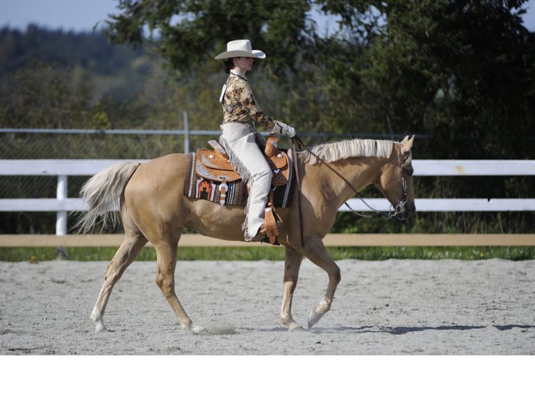 horse rider psychology, mental horse riding traps, improve horse riding focus, April Clay