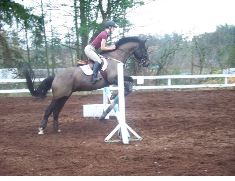 overcoming horse riding fear, fearful horse rider, understanding horse riding fear, horse rider physical fear, horse rider psychology