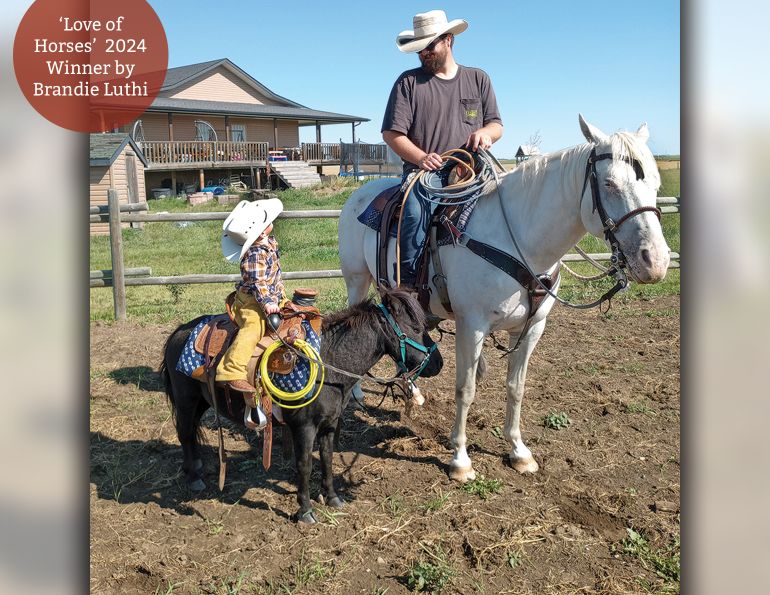 horse photo contest, celebration of horses photo contest, free photo contests horses, equine photo contest, thinline canada