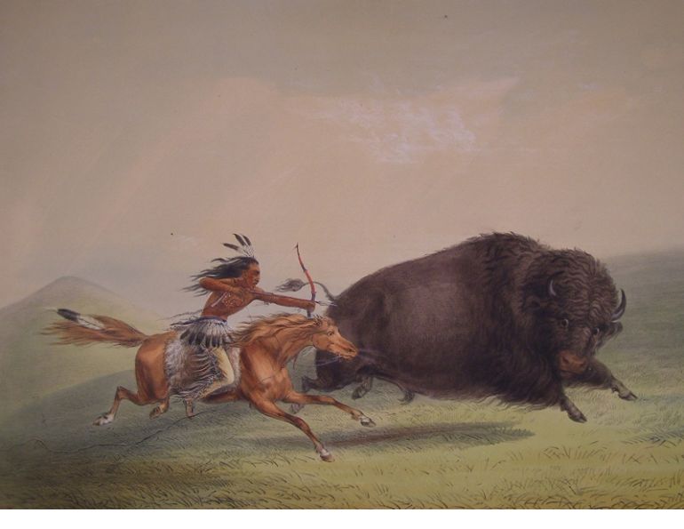 Horse Changed West, Todd Kristensen, Jack Brink, horse extinction in Alberta Canada, palaeontology, horse history Canada, history horses in canada, Mexican horse, Equus conversidens, domestic horse alberta canada