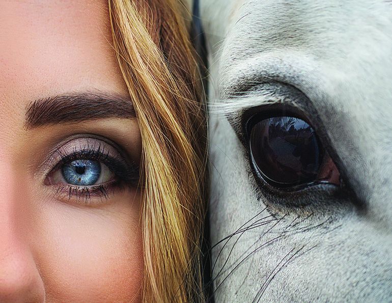 Horse psychology, equine psychology, how horses' brains work, understanding the psychology of your horse, neurochemical action in the horse’s brain, Li Robbins, understanding the similarities between horses and humans, understanding the between horses and humans, horse brain human brain by Janet jones