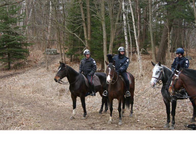Toronto Mounted Police