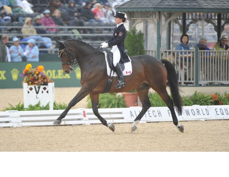 Belinda Trussell, out of the Saddle Exercises to Improve Your Riding Skills, horse riding exercises, correct rider position