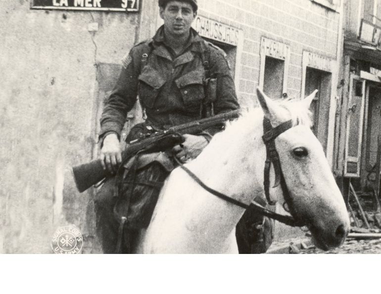 war horse, horses in war, horses in service, world war two horse, world war one horse war horse, horses in war, horses in service, world war two horse, world war one horse