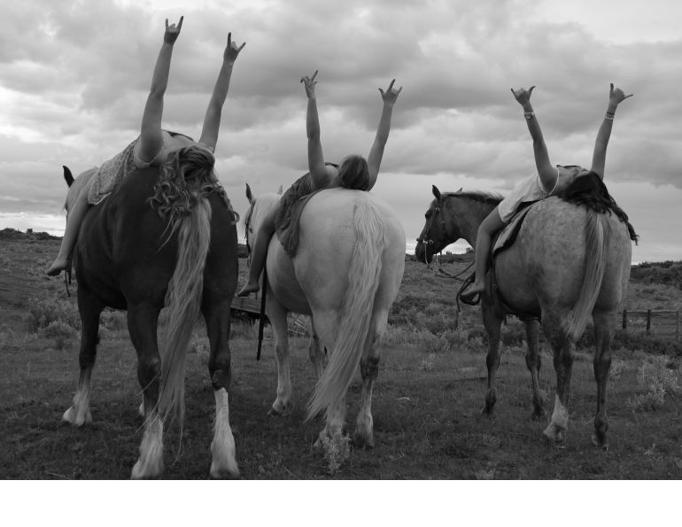 horse photo contest, chj photo contest, the love of horses, equine photo contest