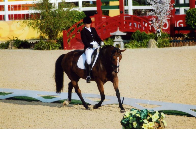 reaching your horse riding goals, Karen Brain, Judi Island, Lauren Barwick, horse riding spinal cord injury, horse rider psychology 