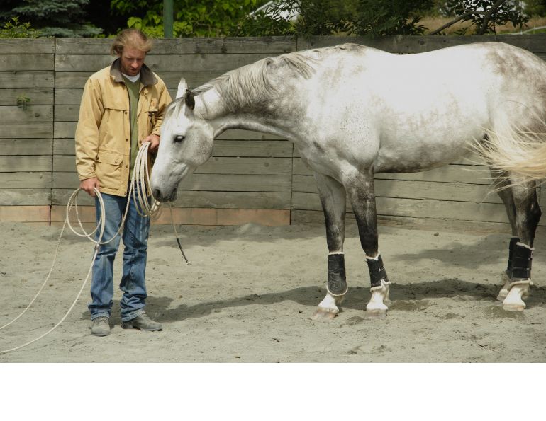 Horse Personality Profiling