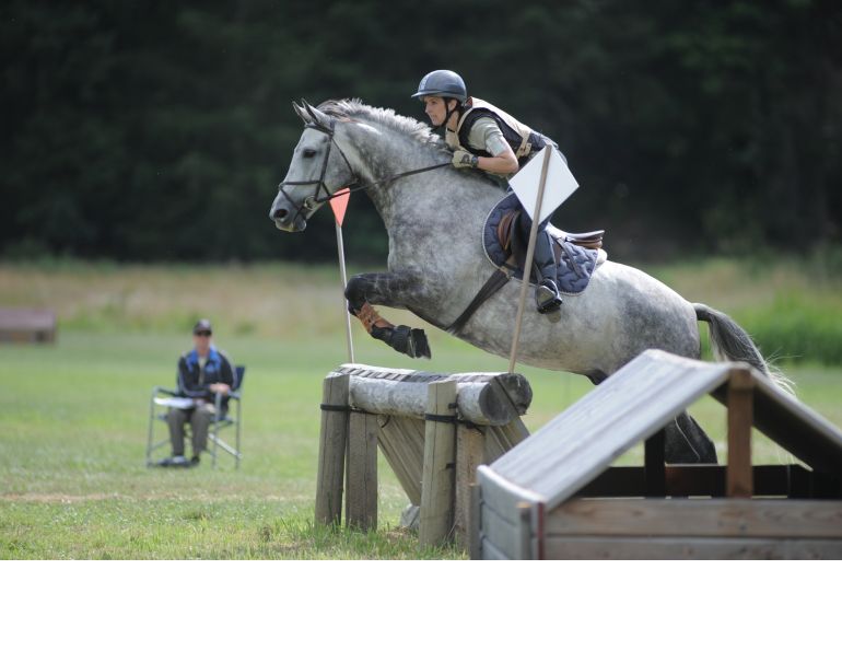 effective Horse training plan, horse riding training goals, horse rider training philosophy, equestrian training program