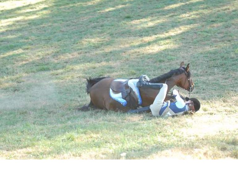 Credit: Robin Duncan