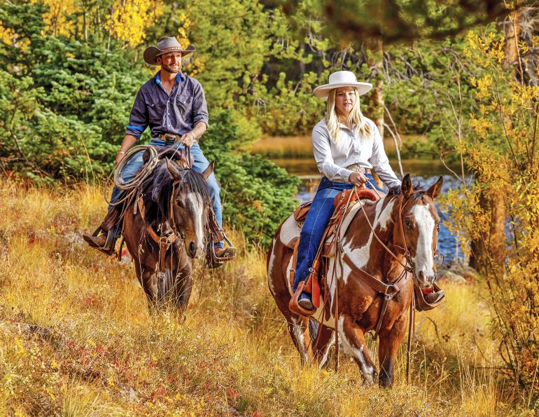 how to remove ticks, tick removal horses, preventing tick bits horses, best bug sprays horses, areas to avoid ticks canada, what do ticks look like on horse, grooming horse tick