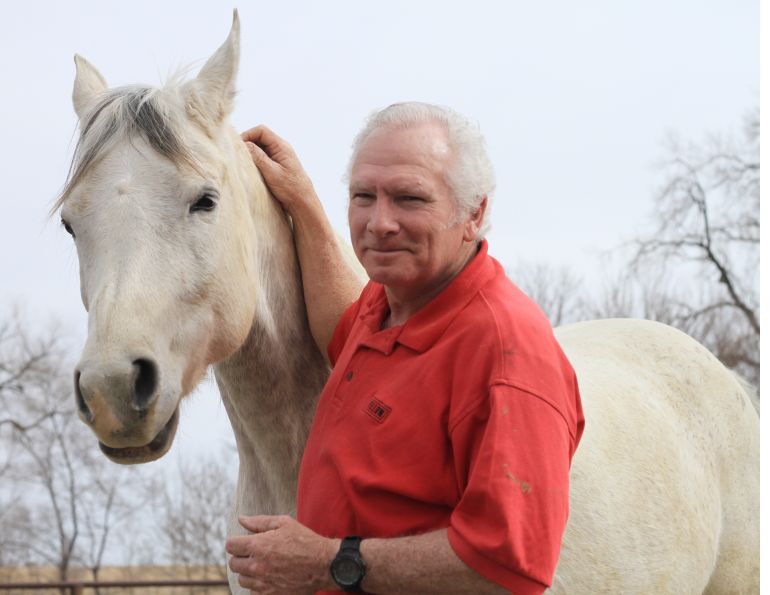 building trust with your horse, horse trust, equine trust, anne gage