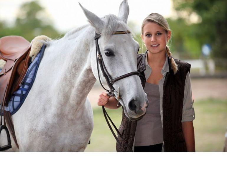 western college of veterinary medicine, wcvm, dr sue ashburner, equine pre-purchase exam, horse pre-purchase exam, dr. sue ashburner, sarah figley