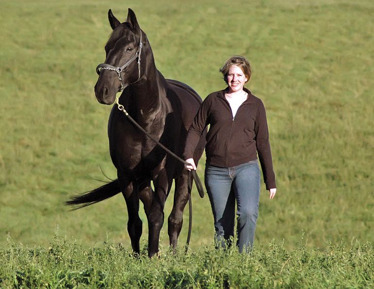 McKee-Pownall Equine Services, equine lameness, is my horse able to work, how lame is my horse, aaep lameness scale, hoof care horses