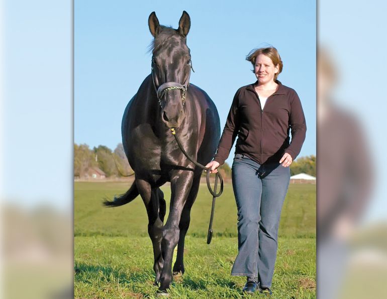 GROUNDWORK horses, exercises for horses, keeping a horse fit, jec ballou horse fitness, how to keep my horse healthy without riding, exercising a horse without riding