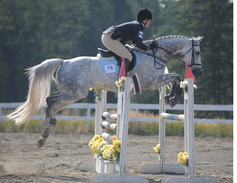 fitness horse riders, how to stay balanced on a horse, how to relax on horse, heather sansom horse rider
