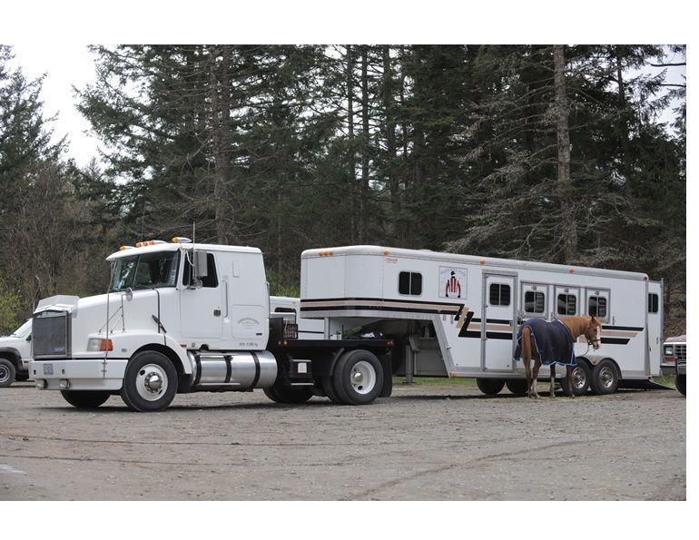 Kevan Garecki, horse trailer safety, safe horse transport, horse care