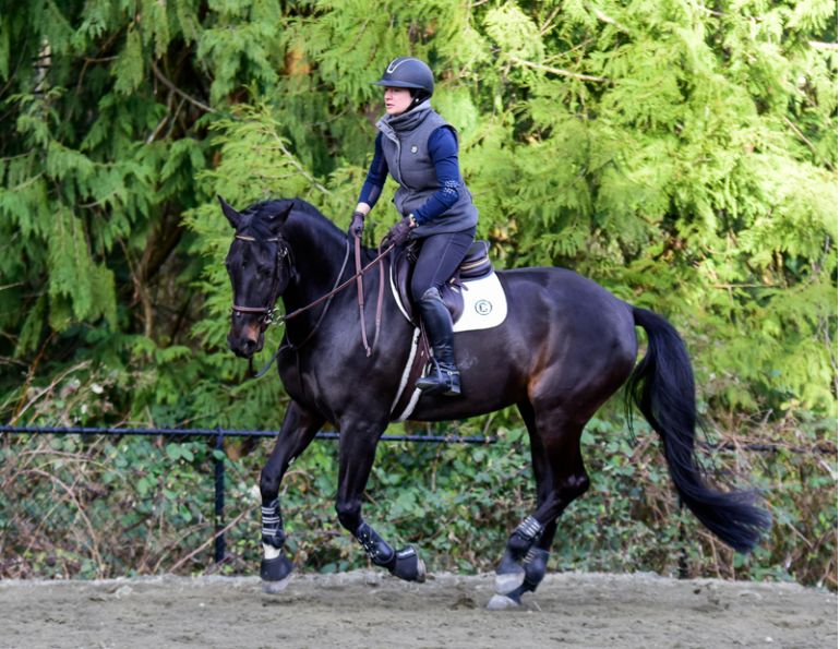 horse psychology, horse rider affirmations, April Clay, equine rider affirmations horse psychology, horse rider affirmations, April Clay, equine rider affirmations