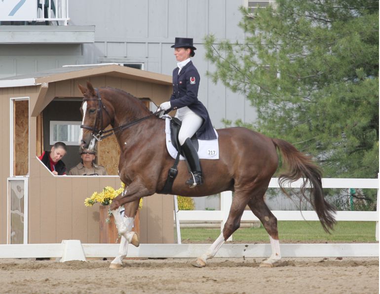 Olympian Gina Smith interview, equestrian gina smith interview, horse rider gina smith interview, horse rider flexibility