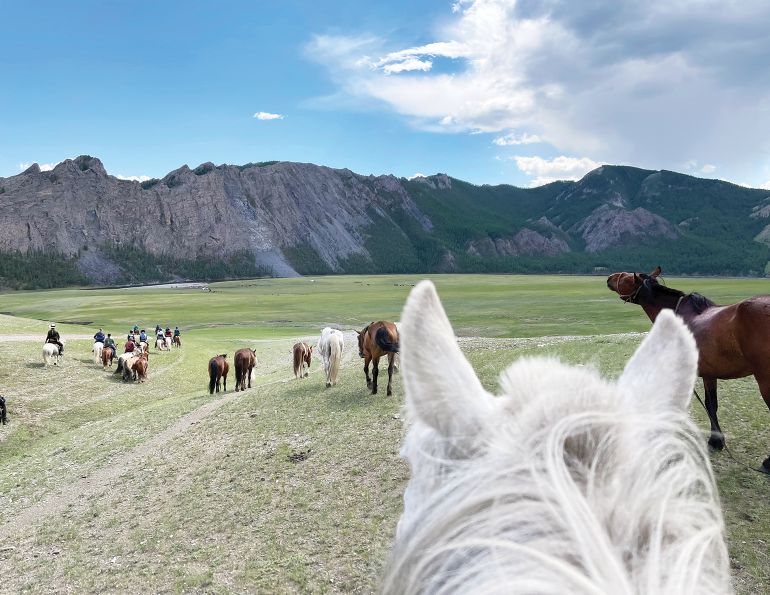 mongolian ride, holidays on horseback, tania millen horse writer, riding a reindeer, horseriding abroad.
