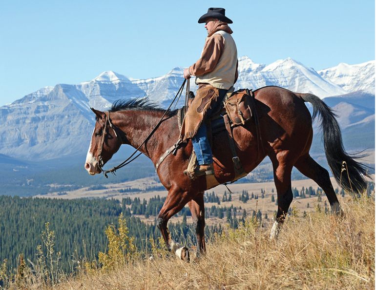trail riding canada, horseback riding canada, ya ha tinda working horse ranch, camping with hores canada