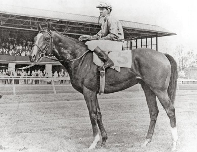 Horse named Northern Dancer, little Canadian horse Northern Dancer, exceptional Canadian horses, iconic Canadian horses, famous horses from Canada, Best horse in Canadian history, Norther Dancer