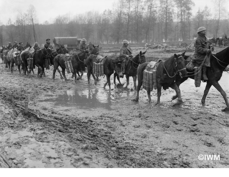 Brooke USA equine welfare horse welfare World War One Horses