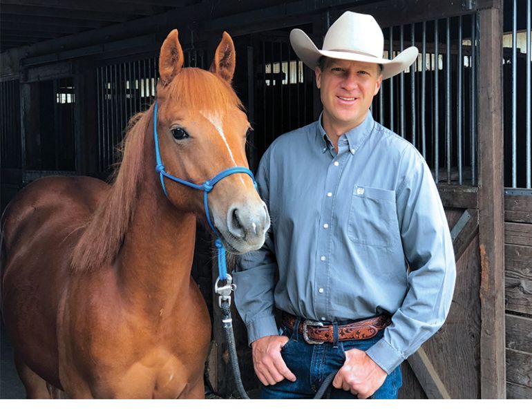 Jonathan Field, Foal horse trailering, colt horse trailering, foals horse trailers