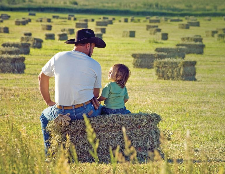 making hay for horses, first cut hay vs second cut hay, nikki alvin smith, how to store horse hay, mouldy hay horses, moist hay horses, preventing barn fires