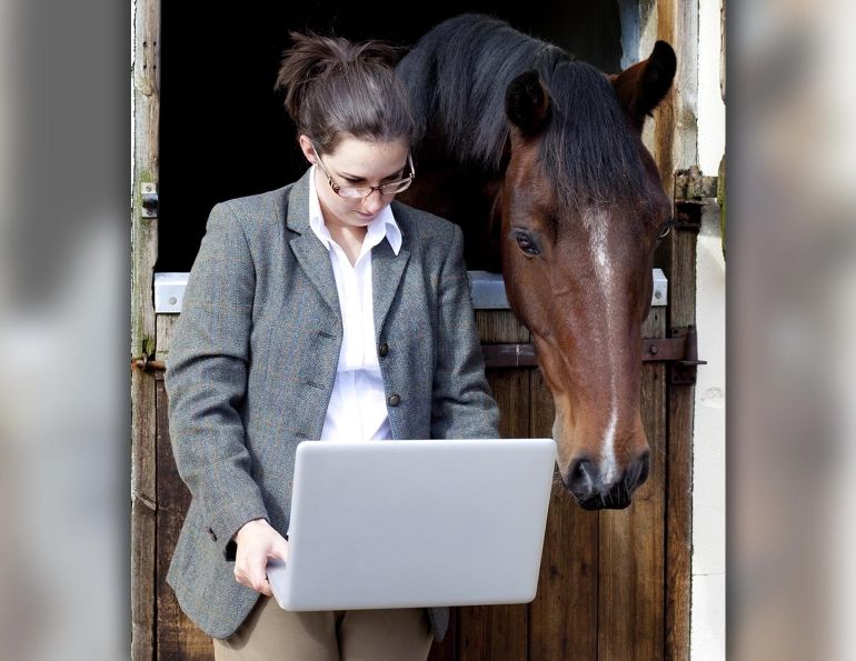 horse businesses canada, how to run horse business, equine entrepreneurs, insurance horse business, marketing a tack store, equine professional courses, marketing horse business