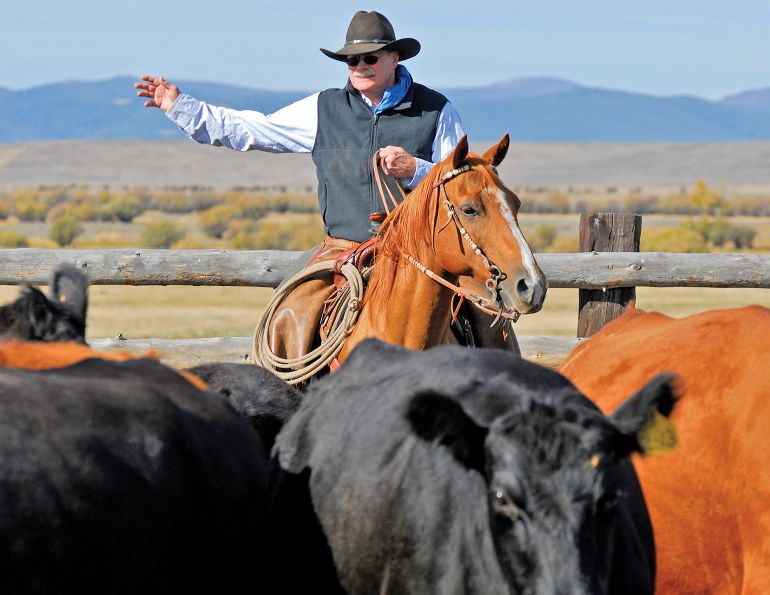 dogs and horses, cowboys in canada, gang ranch cowboys, herding cattle careers canada, riding horses career canada, cowboy careers canada, feedlot careers canada, douglas lake ranch, mantracker, bar u ranch
