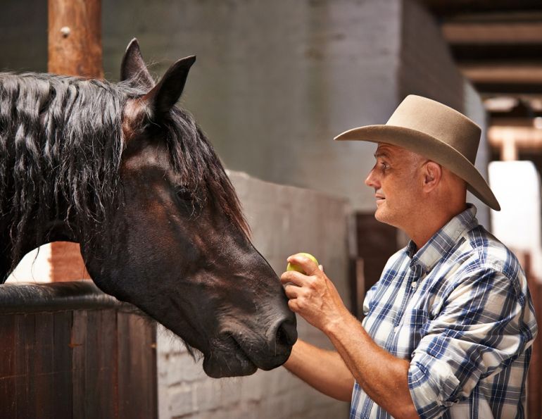 how to stay calm while riding my horse, how to learn from my horse riding mistakes, annika mcgivern, enjoying my horse ride