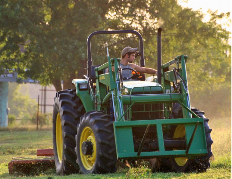 Caring for horse pasture, Dr. Stephen Duren, mowing horse pasture, mowing lawn, horse paddock management, risks horses grazing mowed pasture, horse care, horses consuming molded grass, clipped forage choking hazard horses
