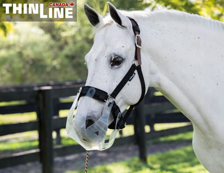 thinline flexible filly muzzle, nice horse muzzles, best horse muzzles, thinline canada