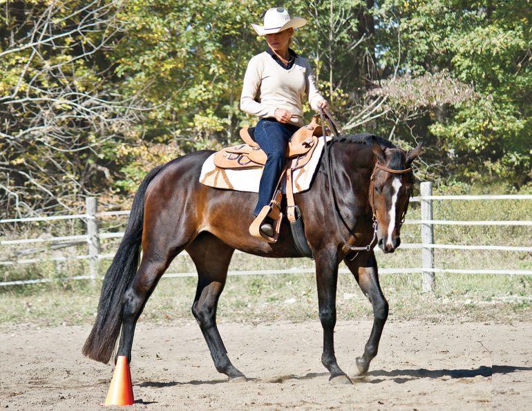 neck reining, what is equine neck reining?, understanding horse neck reining, what bit for my horse?, what are curb bits for horses? Lindsay Grice, what are leverage bits for horses?, understanding horse bits, how to adjust horse reins, Western riding neck reining tips