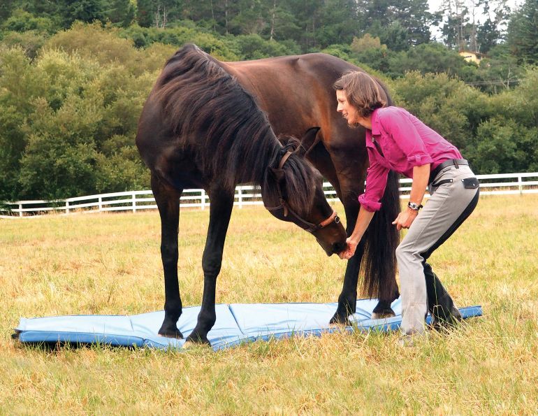 horse stretches, carrot stretches horses, help horse supple, jec ballou, groundwork for horses
