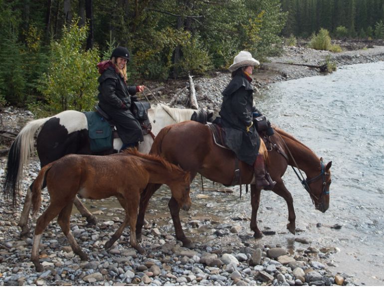 Shawn Hamilton, Wild Deuce Outfitters, Rocky Mountains Alberta,  Bighorn Backcountry, Wild Deuce Women’s Retreat, Clix Photography, Horse riding holidays, canadian riding holidays, canadian horse holiday, equestrian vacations, horses in the rockies