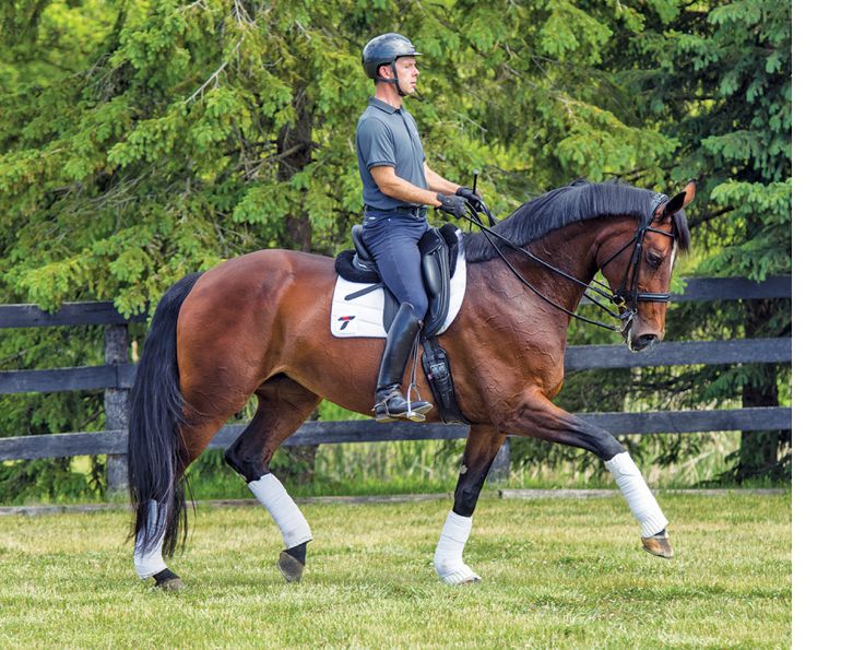 pilates for horse people, equestrian pilates, exercises for stronger horse riding, sandra verda zanata fit to ride, physical strength for horse riding