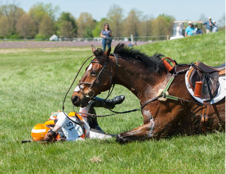 horse rider Psychology, horse rider concussion, overcoming traumatic riding accident, overcoming concussion horse riding
