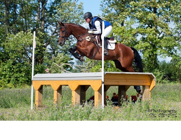 ottb, off the track thoroughbred, jessica phoenix, jessica phoenix off the track, exploring off the track, exponential off the track, world equestrian games, equine guelph, barbara sheridan