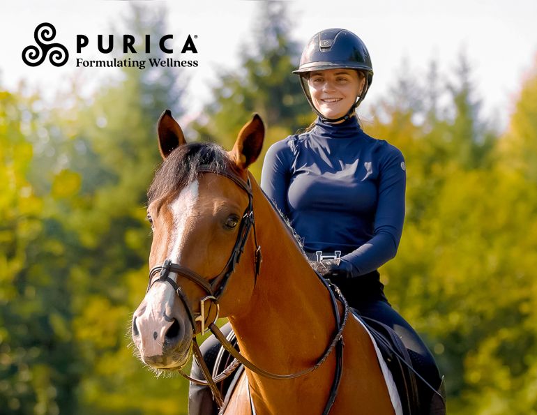 purica logo, horse health purica, canadian horse health supplements, equine recovery supplement, equine renewal supplement