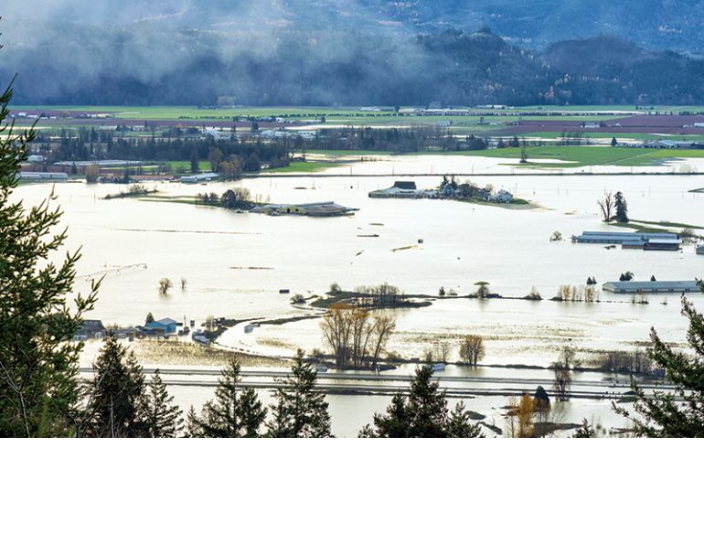 bc flooding horses, rescuing horses disaster, helicopter horse rescue, climate change horse industry, lytton fire horses, merrit bc horses farms flooding