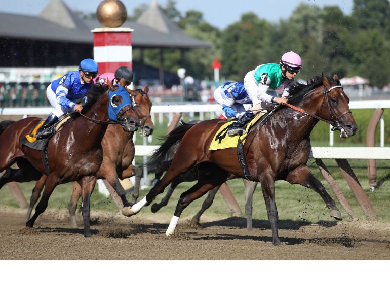 exercise-induced pulmonary hemorrhage thoroughbreds, horses eiph, ontario veterinary college equine studies