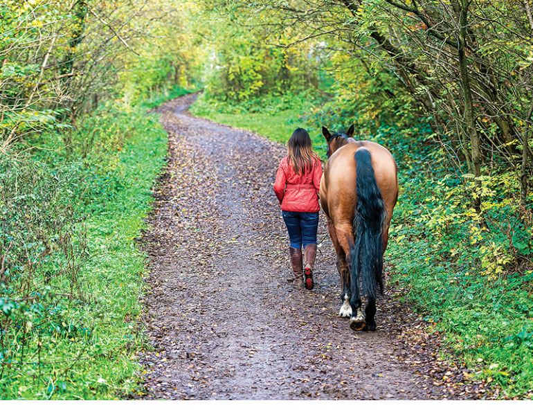 improving connection with your horse, fun activities with horse, alexa linton, fun with horse